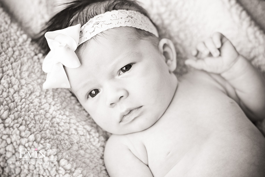 Newborn Baby Portraits Nashville, TN