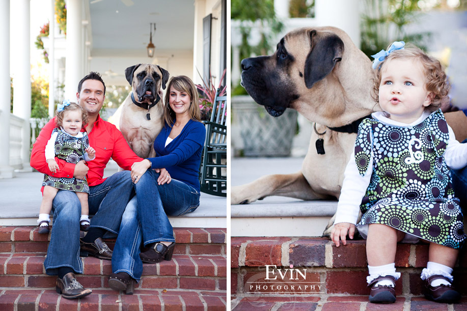 Family Portraits with English Mastif in Franklin, TN