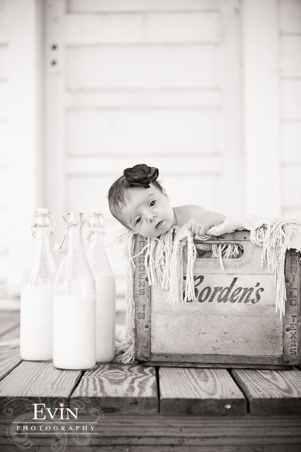 Baby and Family Portraits at Harlinsdale Farm in Franklin, TN