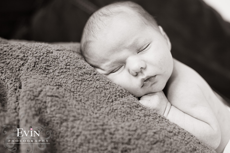 Newborn Portraits in Franklin, TN