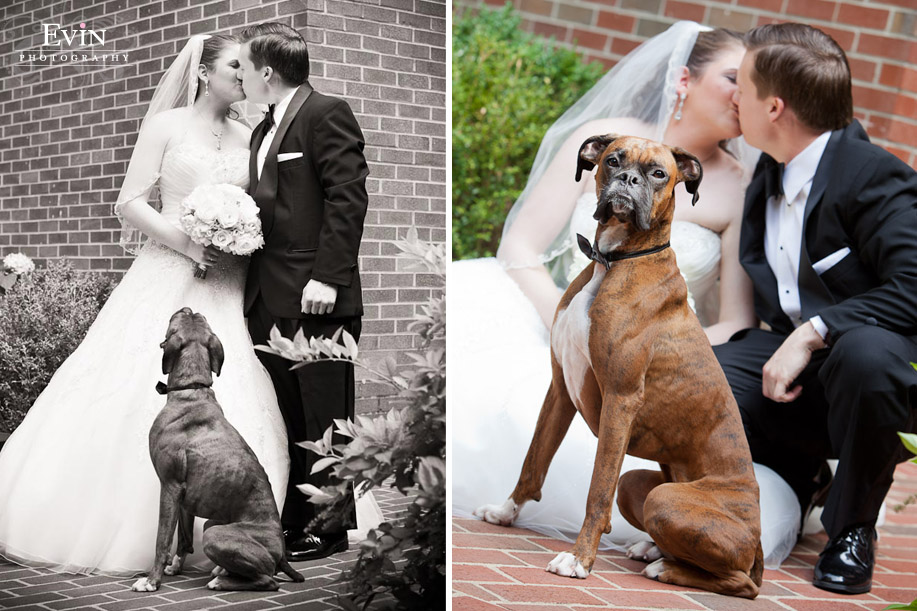 Dog with Bride & Groom - Wedding Ceremony and Reception in Brentwood and Nashville, TN