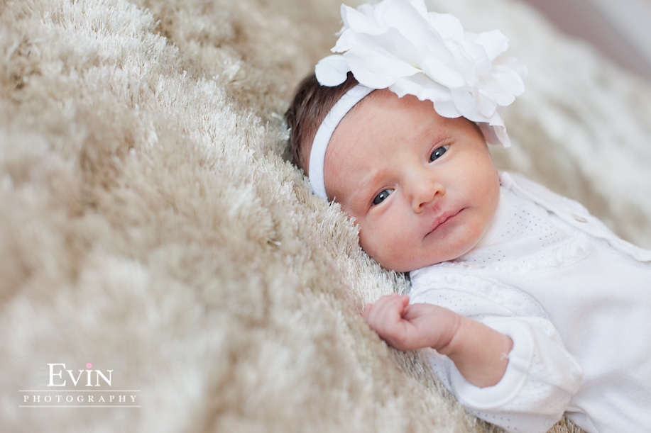 Baby girl newborn portraits in nursery in Franklin TN