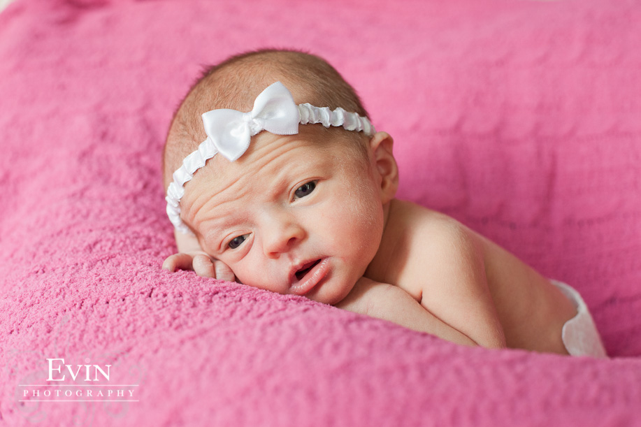Newborn Portraits in Nashville, TN by Evin Photography