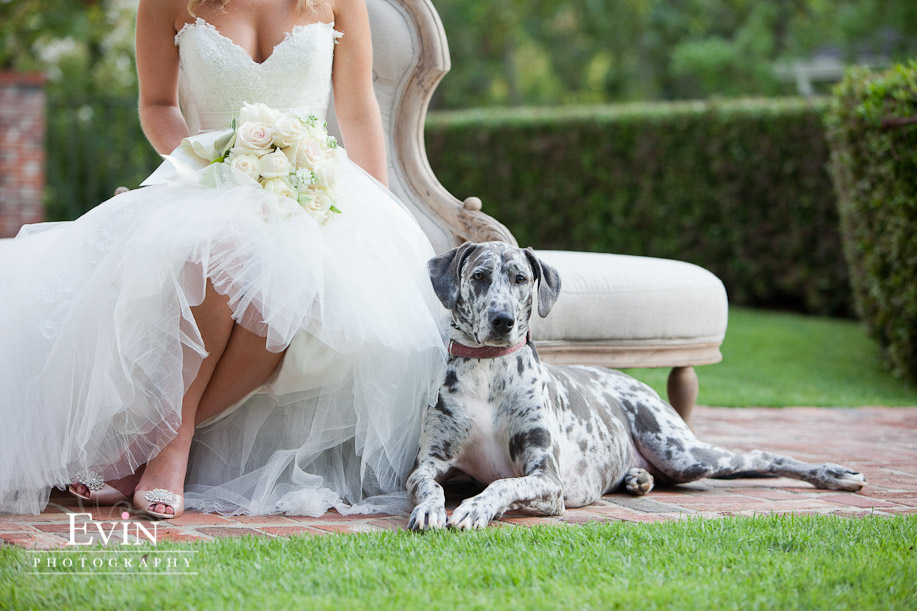 summer destination bridal portraits outdoors with dog in jasper, AL
