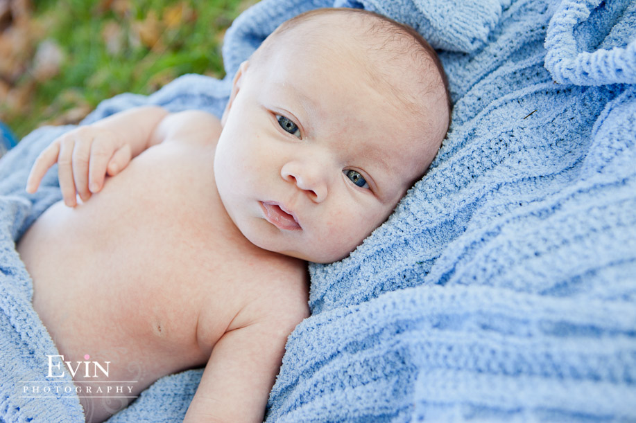 Newborn baby portraits in franklin, TN