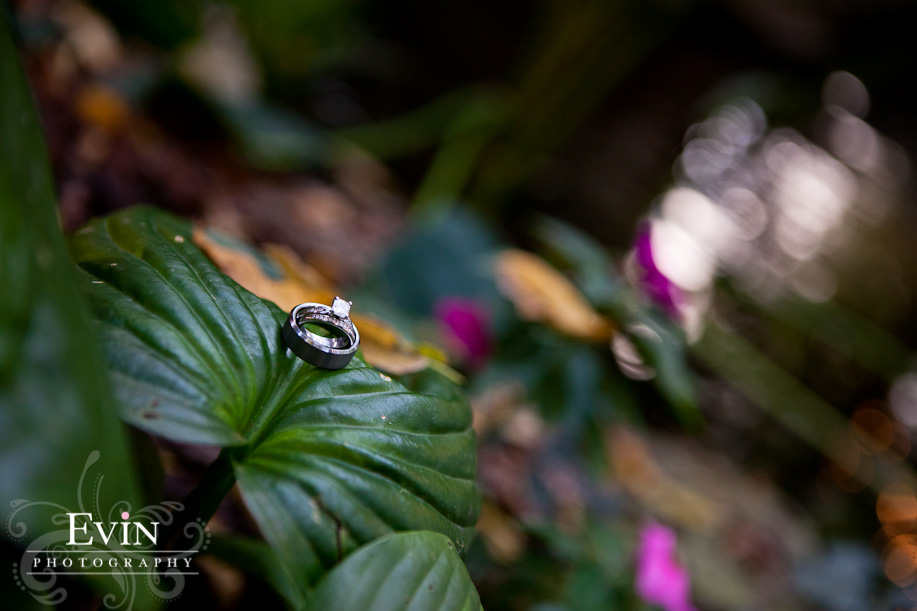 Downtown Franklin, TN Fall Garden Wedding & Reception at CJ's Off the Square by Nashville Photographer Evin Photography