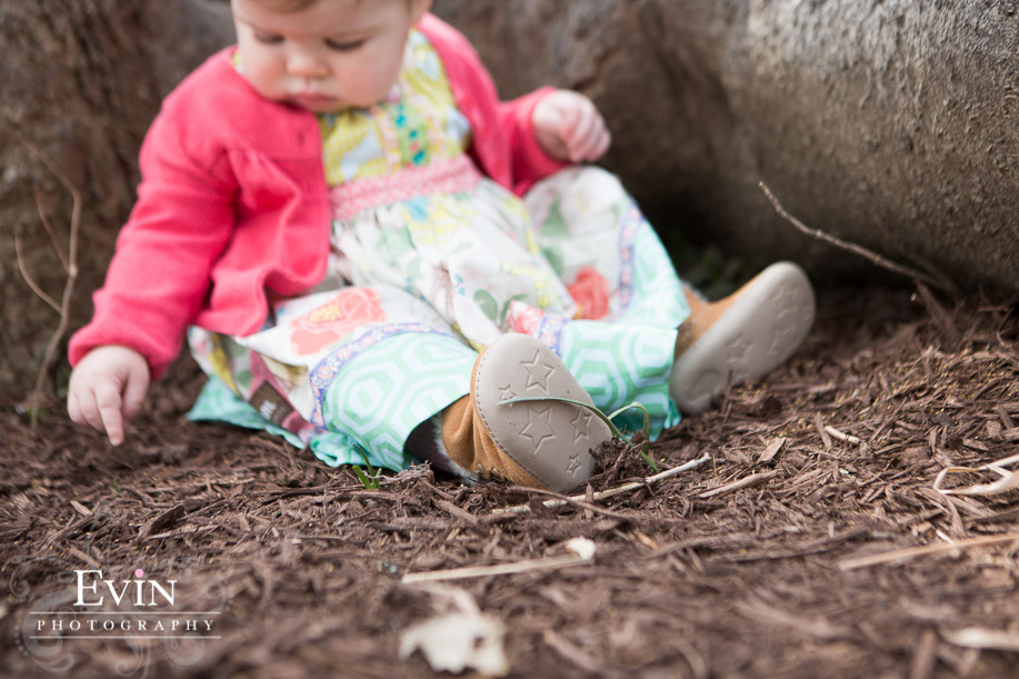 One Year Baby Portraits in Franklin, TN