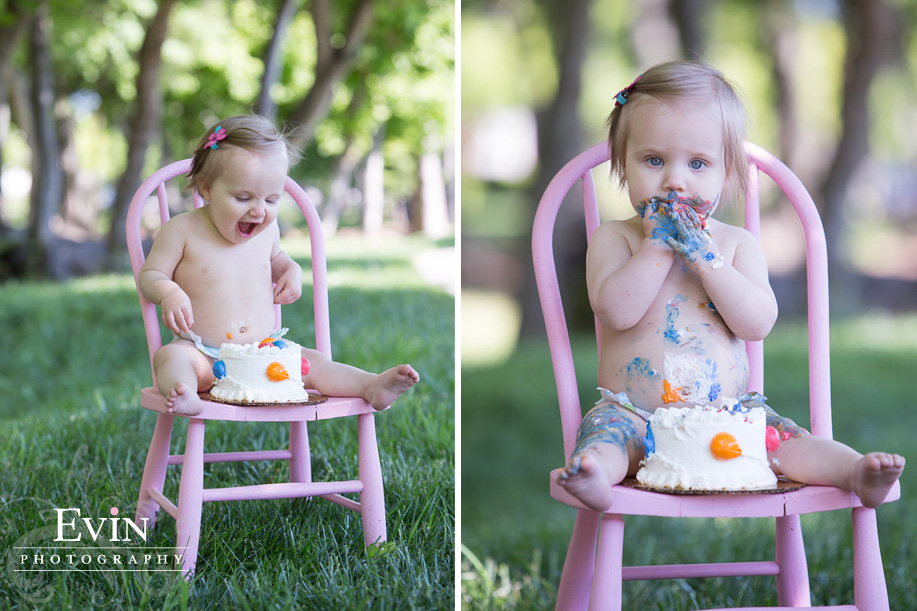 one year old smash the cake photos