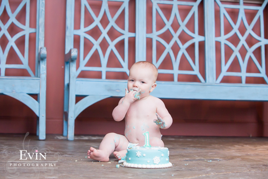 one year child baby smash cake photo session by Nashville Portrait Photographer Evin Photography (9)