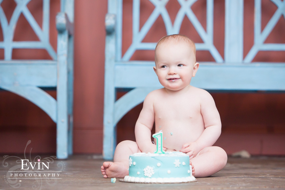 one year child baby smash cake photo session by Nashville Portrait Photographer Evin Photography (11)