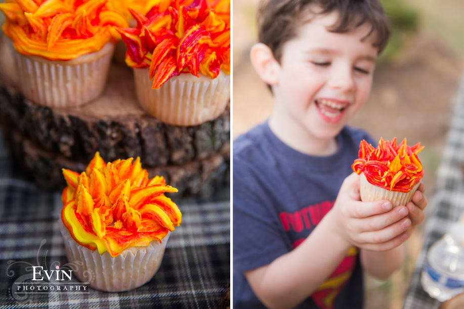 Campfire first birthday party by wedding and portrait photographer Evin Photography (9)