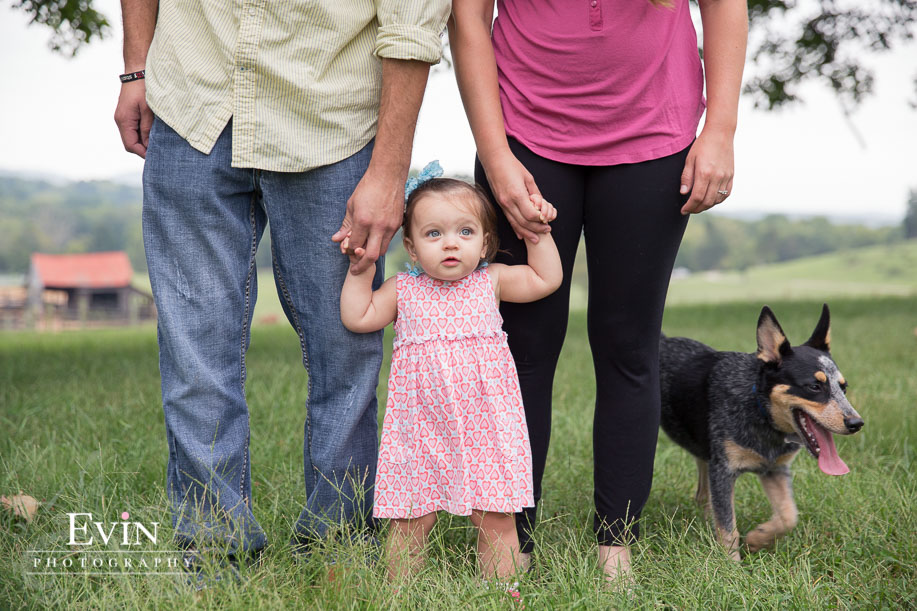 Tap_Root_Farm_Family_Portraits_Franklin_TN-Evin Photography-4