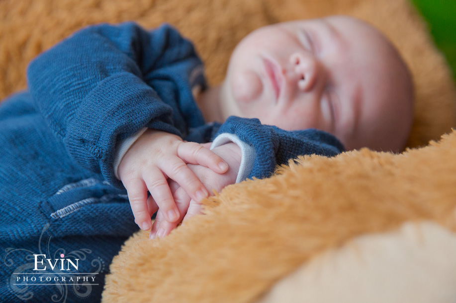Newborn_Baby_Portraits_Franklin_TN-Evin Photography-14