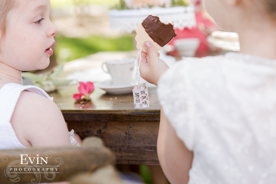 Tea_Party_Birthday_Party_Westhaven_Franklin_TN-Evin Photography-9