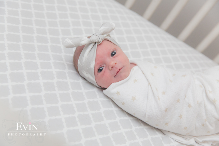 Newborn_Portraits_Hendersonville_TN-Evin Photography-2