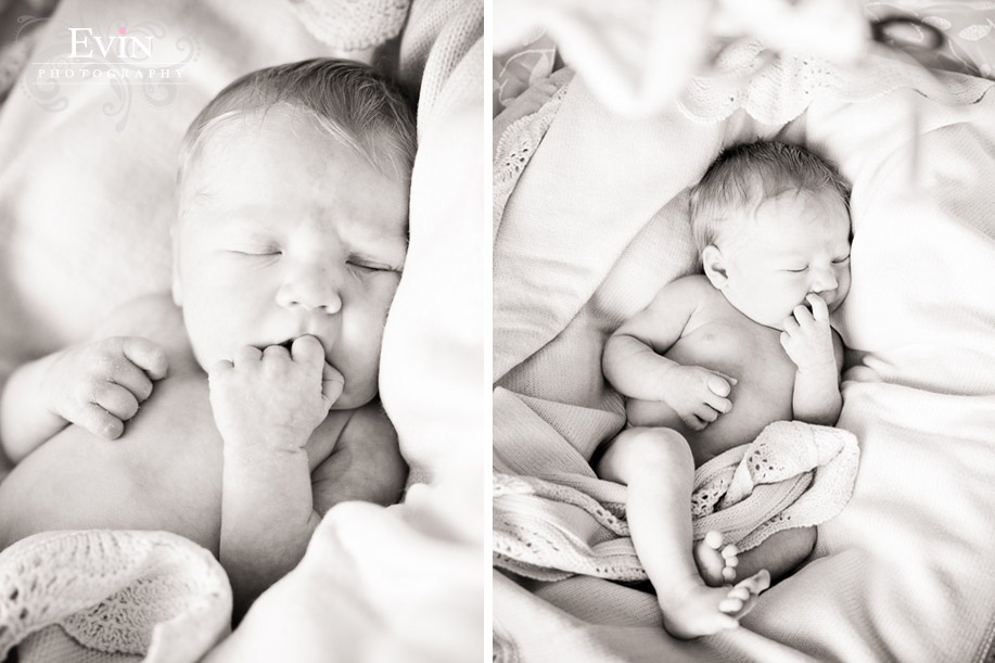Newborn Baby Boy Portraits in Franklin, TN