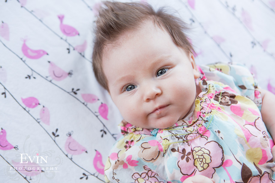 Newborn and Child Portraits in Franklin Tennessee by Evin Photography
