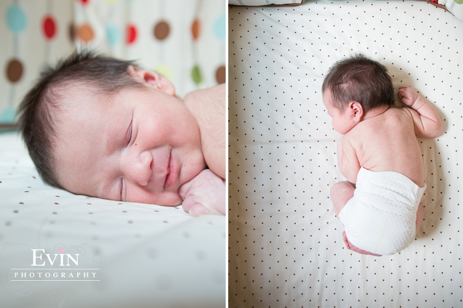 Newborn Baby Portraits by Evin Krehbiel with Evin Photography