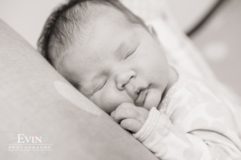 Newborn Portraits in Nashville, Tennessee by Evin Photography