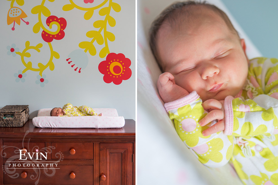 Newborn Portraits in Nashville, Tennessee by Evin Photography